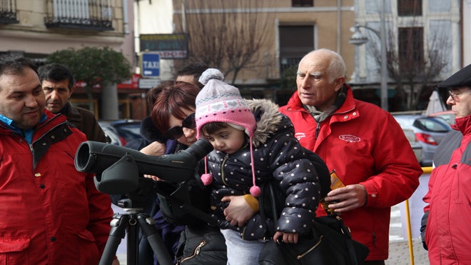 200 personas observan el comportamiento de las cigüeñas en sus nidos en Arévalo