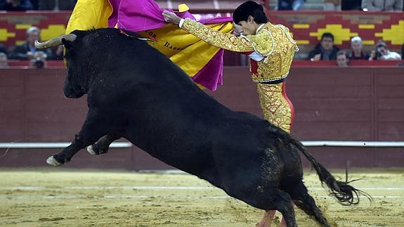 Víctor Barrio triunfa con un gran toro de Cebada en la última de Valdemorillo