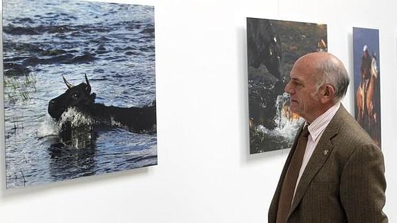 LLega a Madrid “En movimiento”, un recorrido internacional por la trashumancia con la familia García Santana de Navadijos (Ávila) como protagonista