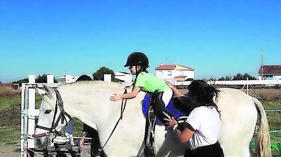 Caballos con virtudes curativas