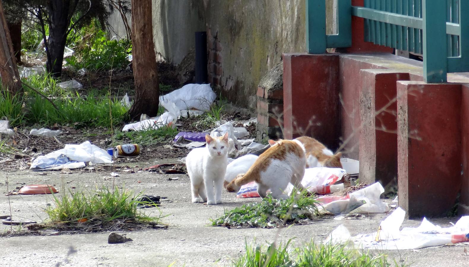 La futura comisaría de Delicias sigue abandonada y llena de basura