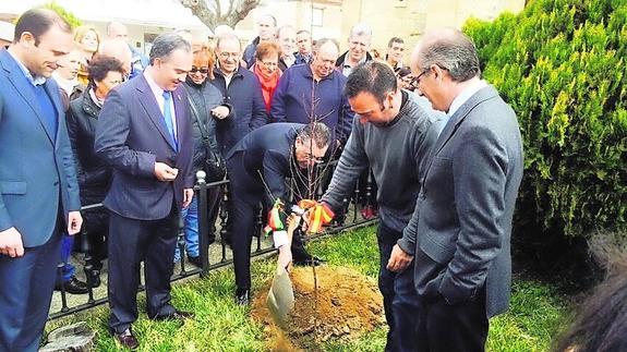 Miles de personas se dan cita para asistir al Día del Almendro en La Fregeneda
