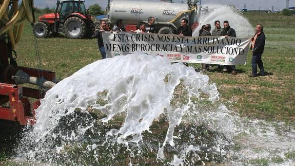 Competencia multa con 88 millones de euros al 'cártel de la leche' por pactar precios