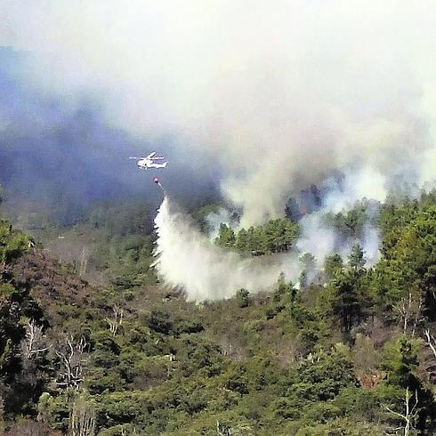 Controlado el incendio forestal declarado en la zona de Monsagro