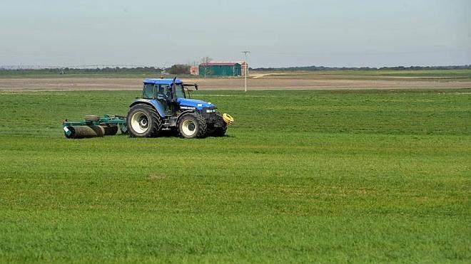 Los agricultores de Valladolid empiezan a mirar al cielo