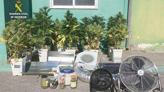 Detenido un joven de 22 años por el cultivo de marihuana en una cochera