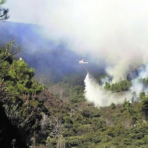 Detenido el presunto autor del incendio de Monsagro que quemó 25 hectáreas