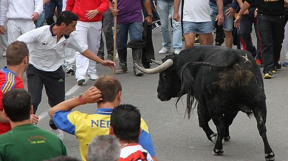 Cuéllar exhibe las credenciales para que sus encierros sean de interés internacional