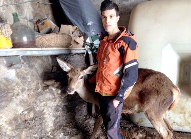 'Esla' vuelve al monte