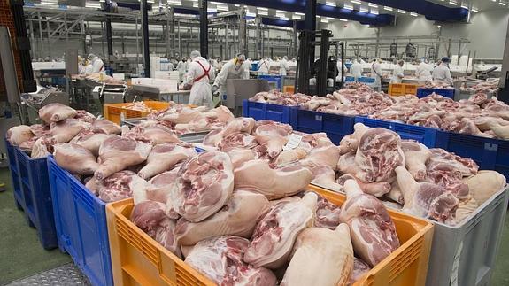 Salud Pública controla 38.581 establecimientos para velar por la salubridad alimentaria