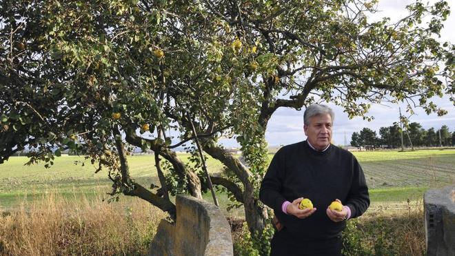 «Ha llegado la hora de hacer el relevo, no optaré alcongreso de junio»