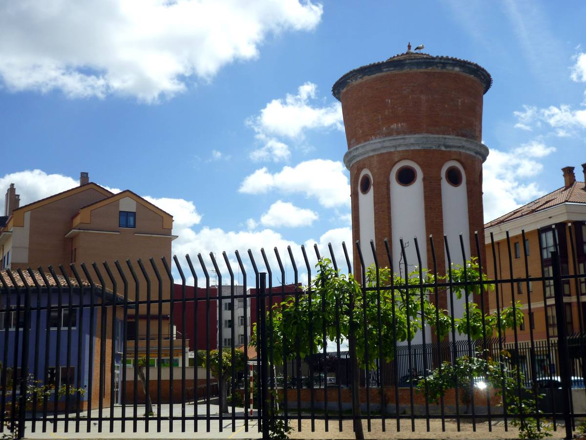 Retiran en Laguna un nido de cigüeña en época de cría «por seguridad»