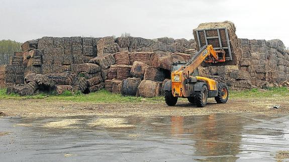 Las cooperativas agrarias ganan mercado y facturan más de 440 millones de euros