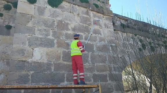 El puente de Fuentidueña que cruza el Río Duratón se pone guapo