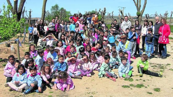 Plantas para ayudar a enseñar en el Gabriel y Galán de Villoria