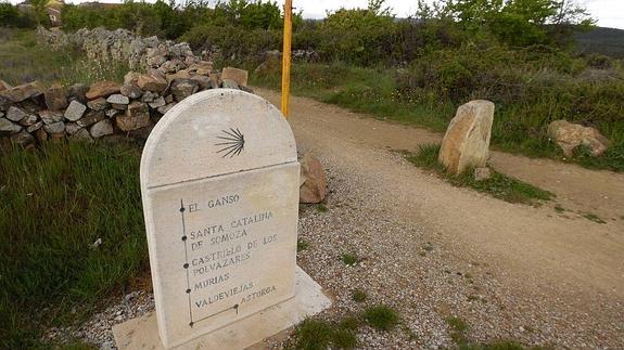 La habilidad para «esconderse en el monte» salvó a la vecina de Santa Catalina del intento de secuestro