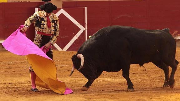 Morante, Castella, Perera, Manzanares, Talavante y Fandiño estarán en San Antolín