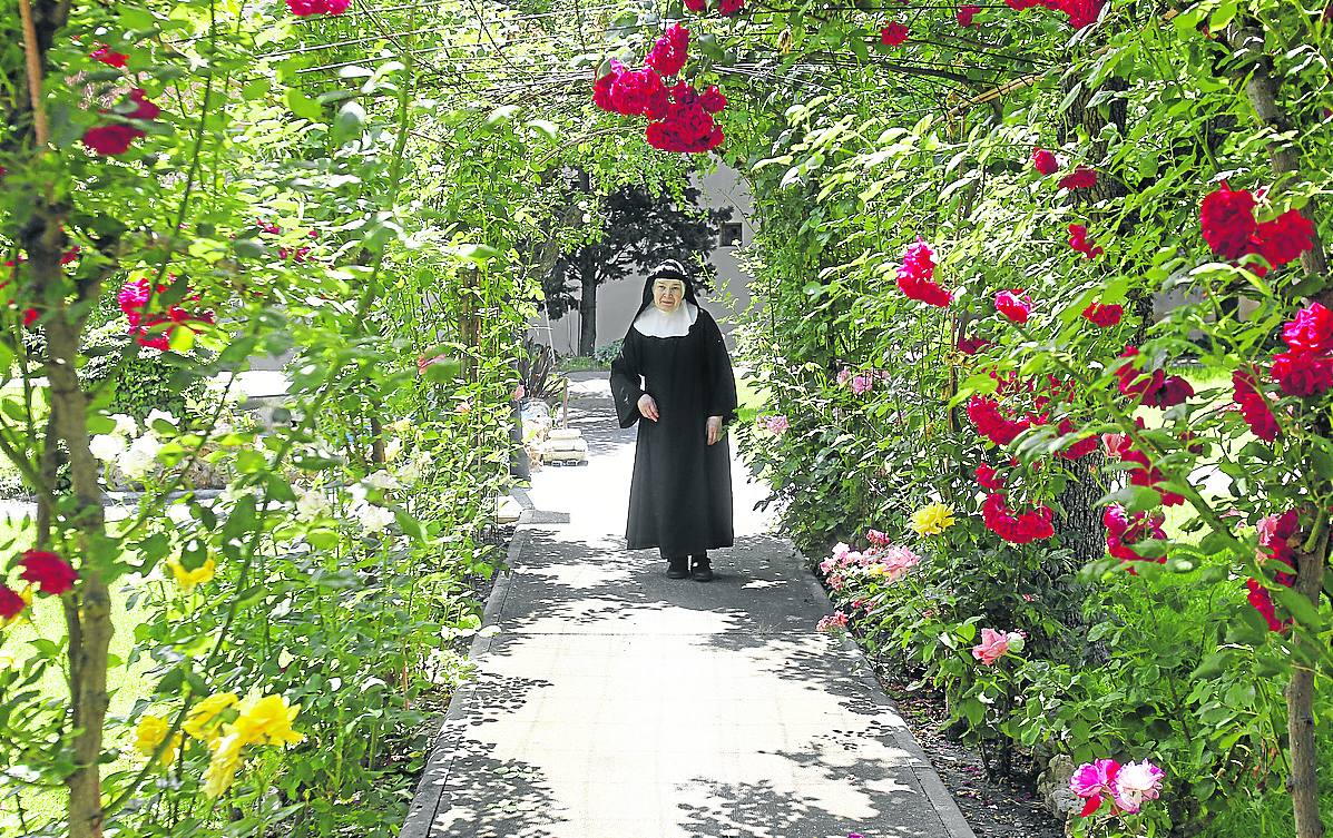 Sobrevivir en el claustro
