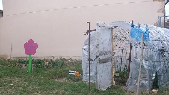 Un huerto a ras del aula