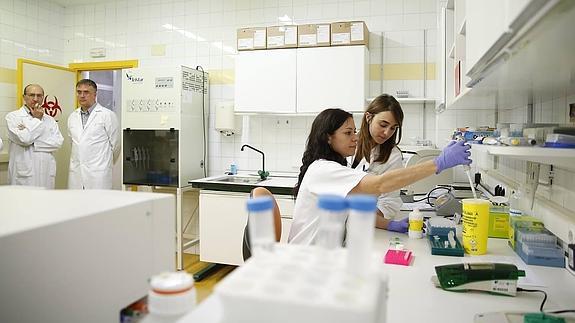 Identificados los genes que permiten anticiparse a la muerte por infección grave