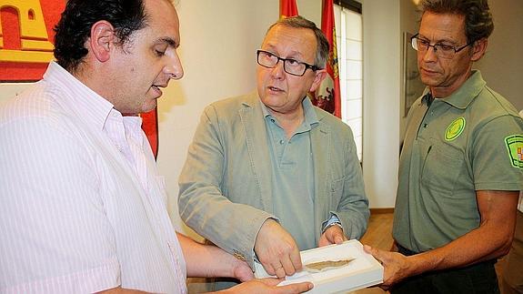 El Museo de Segovia recibe una punta de lanza hallada por un agente medioambiental