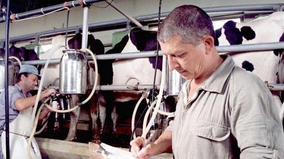 Asaja reparte 2.500 briks de leche como protesta por su bajo precio