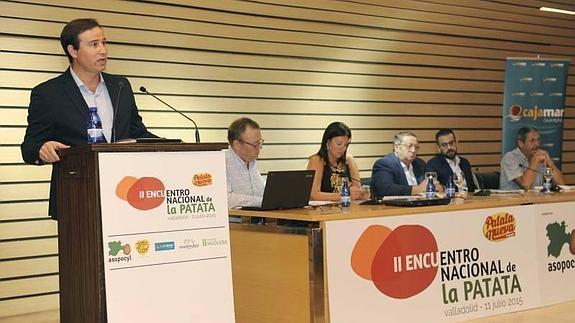 Asopocyl augura una «buena campaña» de patata con precios entre 18 y 25 céntimos