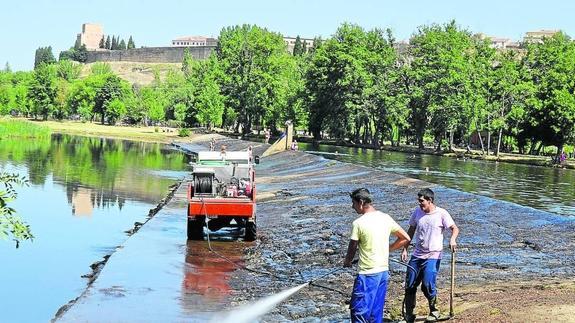 La limpieza en la zona del Vado de Miróbriga se inician la próxima semana 