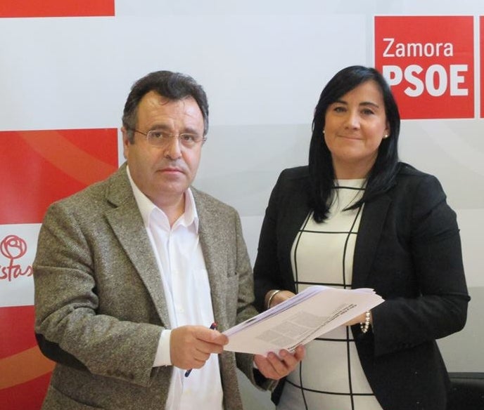 El PSOE presenta en las Cortes Las Edades del Hombre en Toro para 2016