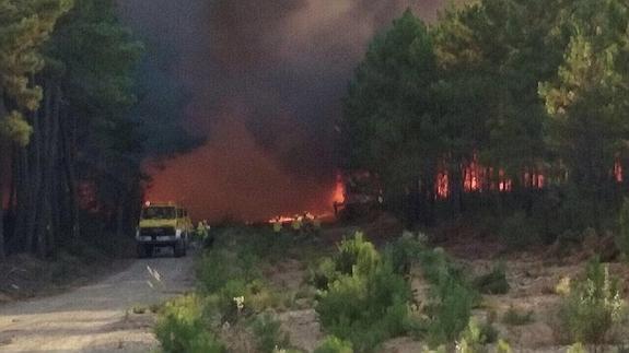 Permanece activo y sin controlar el incendio en Latedo, que bajó al nivel 1 la pasada madrugada