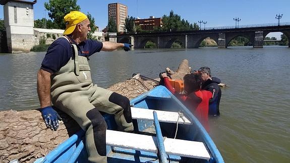 Retiran un tronco de 20 metros que llevaba anclado desde el invierno en la pesquera del río