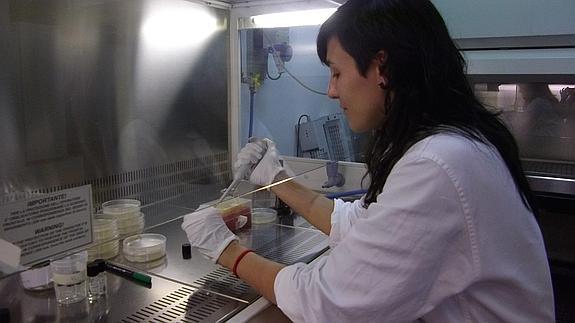 CC OO lanza una campaña frente a los abusos que sufren los becarios