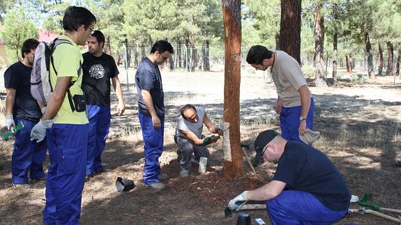Segovia entrega los primeros títulos oficiales de formadores de resineros