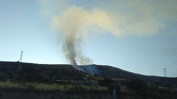 Arden diez hectáreas de pinar repoblado y matorral en el primer fuego de envergadura del verano