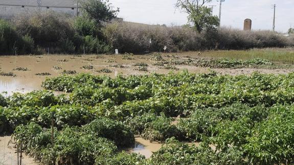 La localidad de Alaejos se afana en limpiar todo el lodo del desbordamiento del arroyo La Reguera