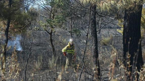 Continúan trabajando en la extinción de un incendio de nivel 2 en San Andrés de Montejos