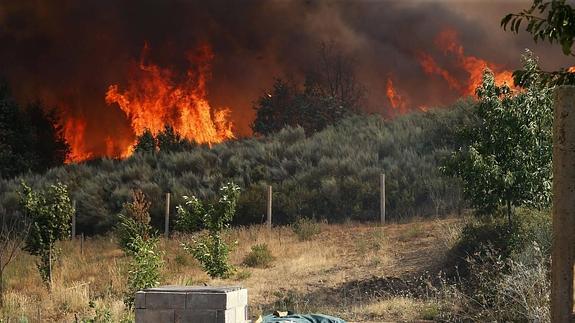 Los incendios de San Andrés de Montejos y Los Barrios de Nistoso dejan un balance de más de 150 hectáreas calcinadas