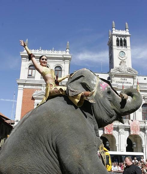 Valladolid se sumará a las ciudades que limiten la presencia de circos con animales
