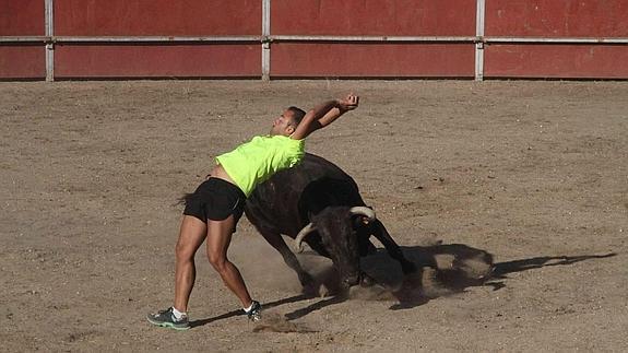 Campaspero celebra el V Toro del Páramo