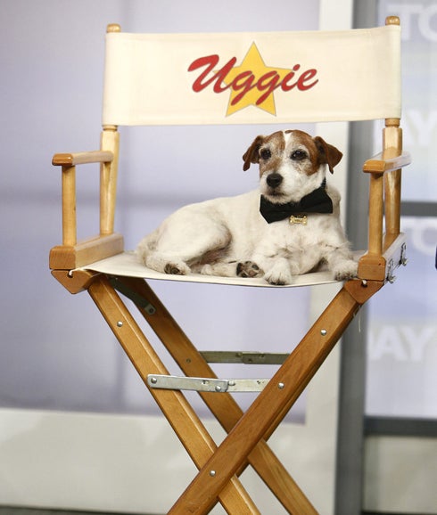 La estrella canina de 'The Artist', Uggie, muere al no poder superar un cáncer