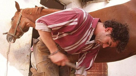 Los años críticos de la crisis abocaron al sacrificio de unos 18.000 caballos