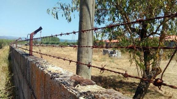 Presentadas 16.000 firmas contra la granja de los visones en Carraceledo