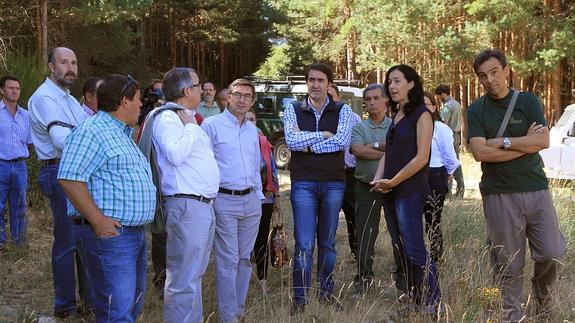 La gestión del pinar de Navafría genera medio millón de euros al año