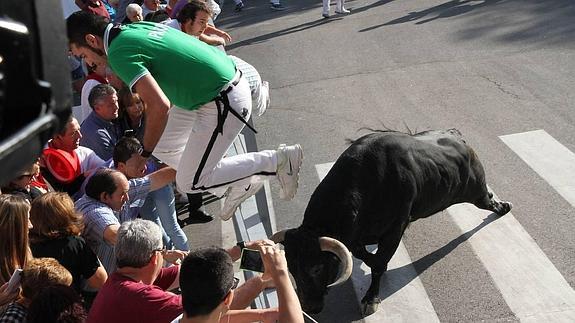 Envía tu foto de las fiestas de Cuéllar