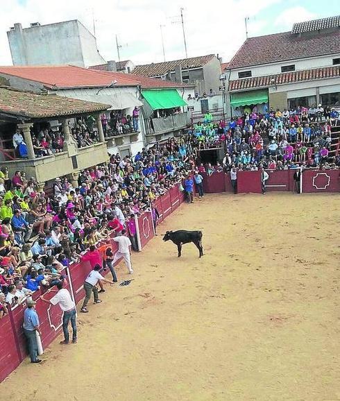 Un nuevo encierro a caballo y un gran festival taurino centran la jornada en Lumbrales