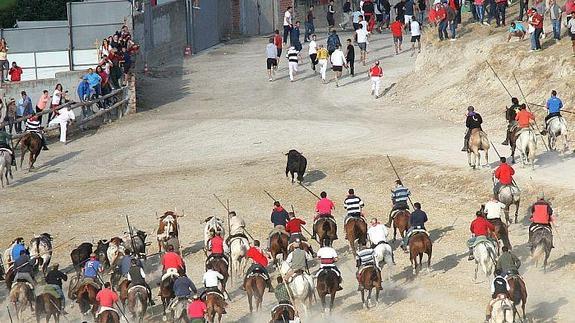 Cuatro toros entran en la plaza de Cuéllar tras un paso difícil por el campo