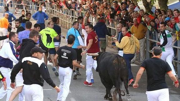 Tres heridos en el último encierro de las fiestas de Cuéllar