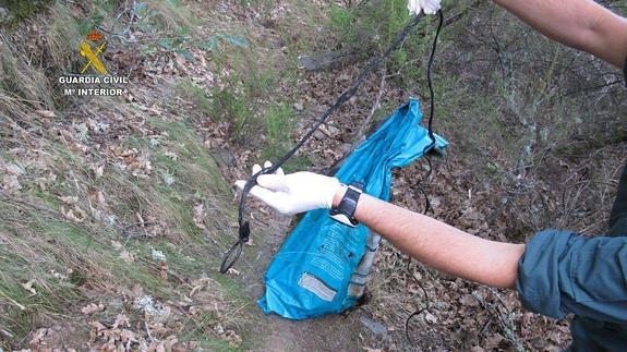 Dos personas detenidas y acusadas por el ahorcamiento de varios perros