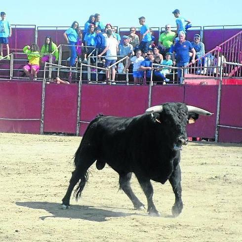 El toro Vermú deja un susto en el primer encierro de Cantalapiedra