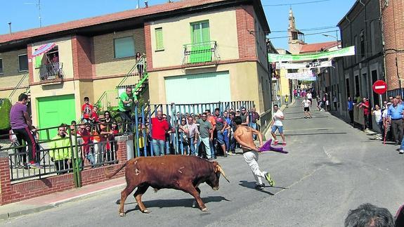 Villoria y Cantalapiedra brillan por sus encierros de vaquillas y novillos